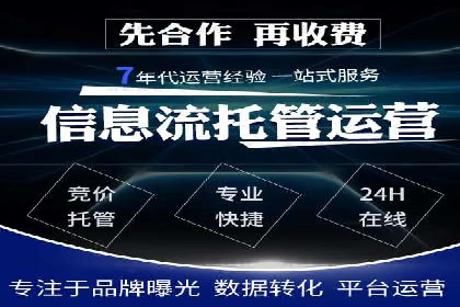 SEM推广策略：成功案例解析与效果评估